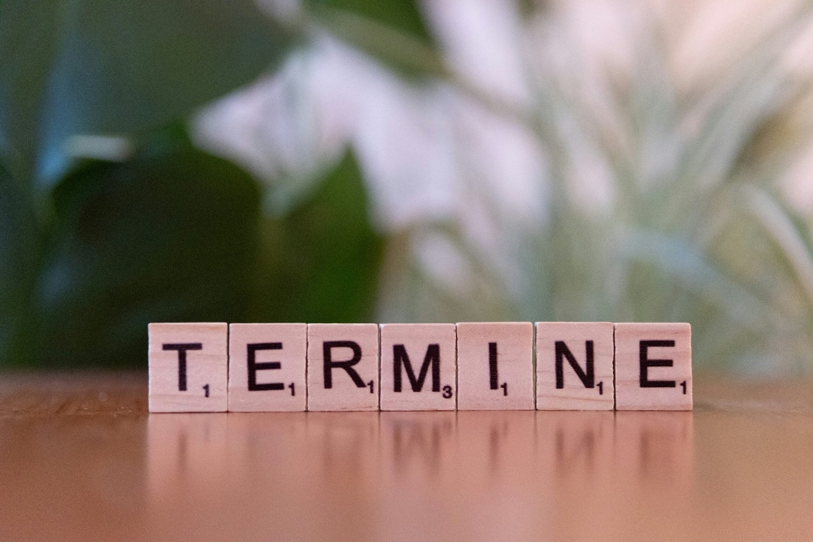 Terms Of Use 1 A scrabble type block spelling the word termine