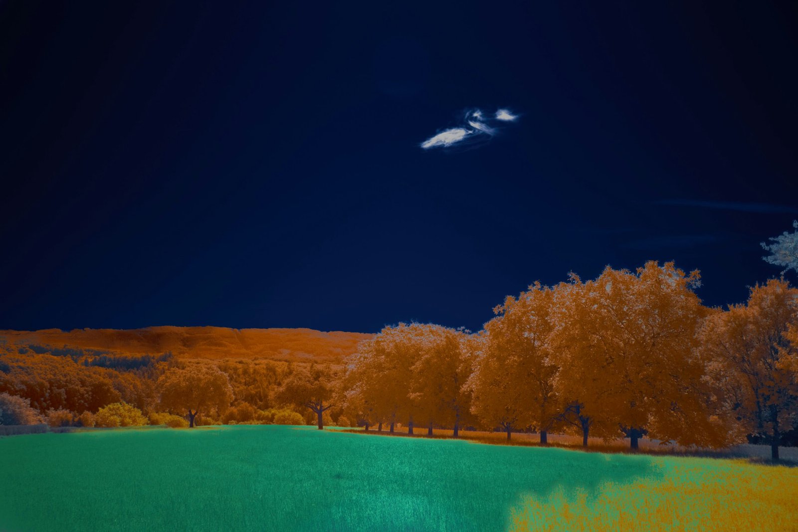 a painting of a field with trees in the background
