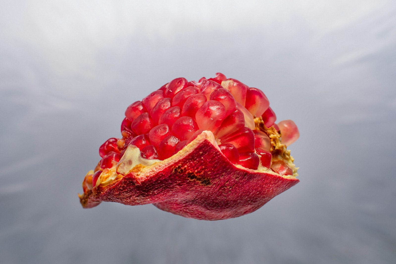 DIY UAP Tracker Setup Using Raspberry Pi and SDR 1 a pomegranate with a bite taken out of it
